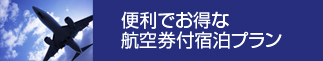 航空券付き宿泊プラン